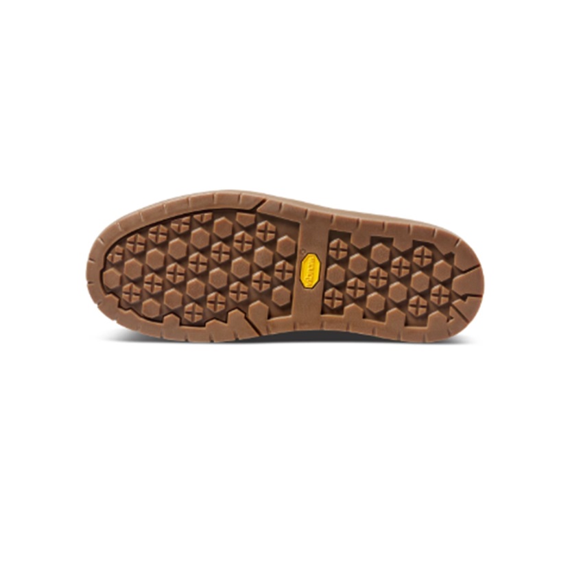 trazeras|FIV89973